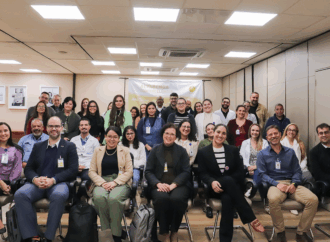 Parecer final: visita de manutenção da ONA